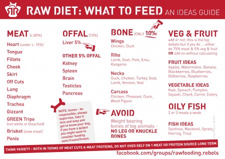 Raw Feeding Dogs - Starter Guide - Rawfeeding Rebels